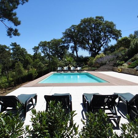 The Art House Villa Serra Kamer foto