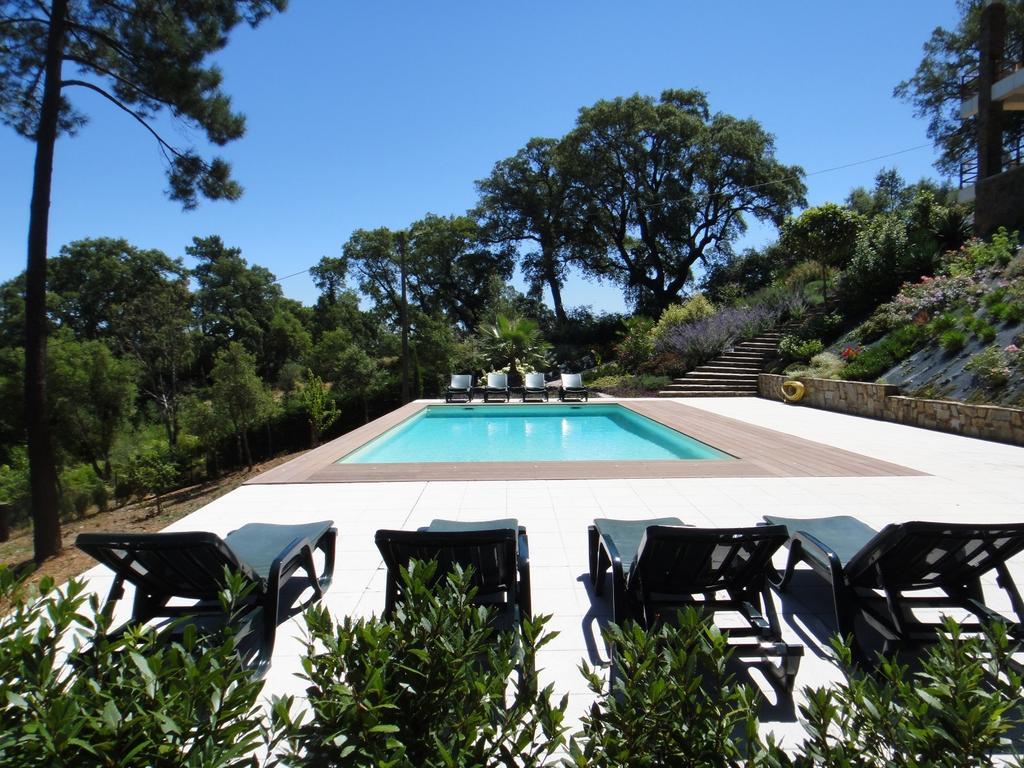 The Art House Villa Serra Kamer foto